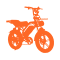 Electric Motorcycles