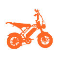 Transport Electric Bicycles