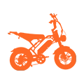 Transport Electric Bicycles