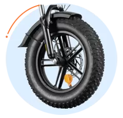 Popular Fat Tire E-Bike