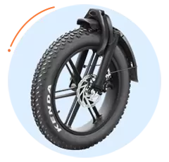 Popular Fat Tire E-Bike