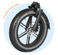 Popular Fat Tire E-Bike