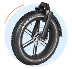 Popular Fat Tire E-Bike
