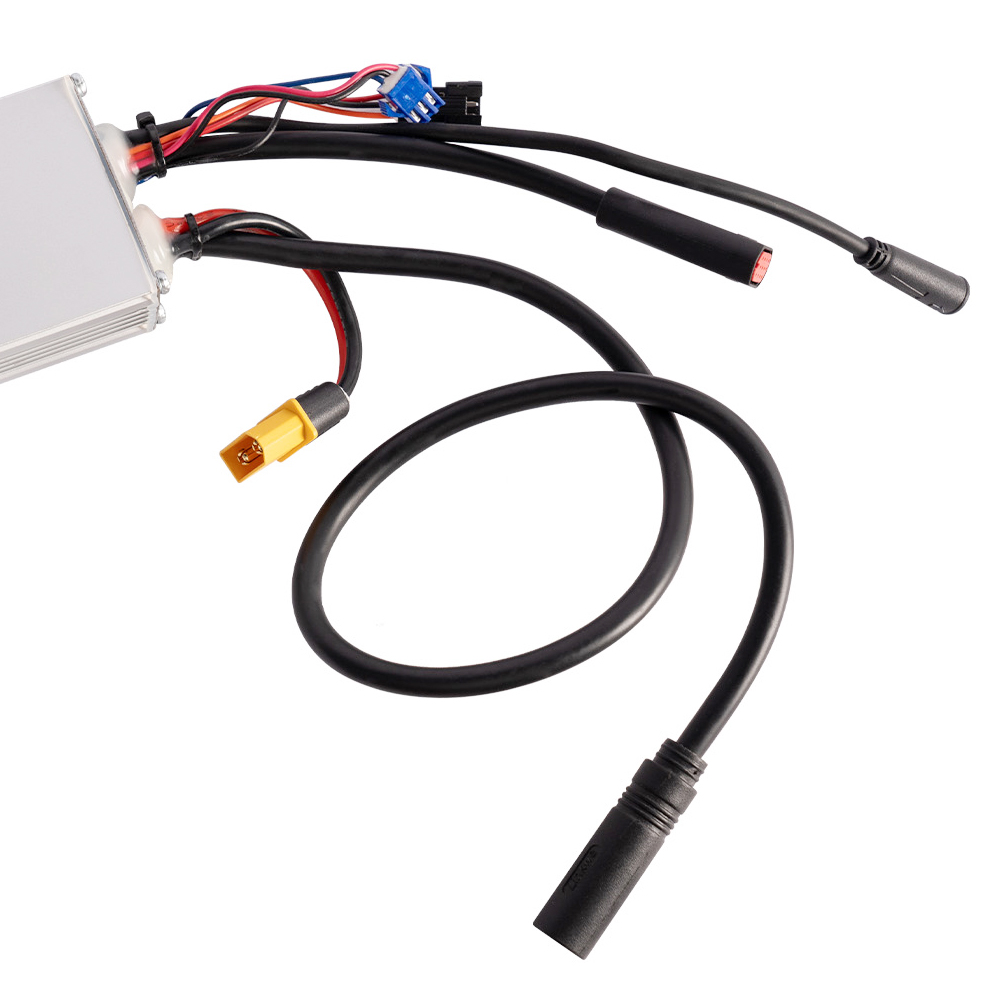 Electric Bike Controller