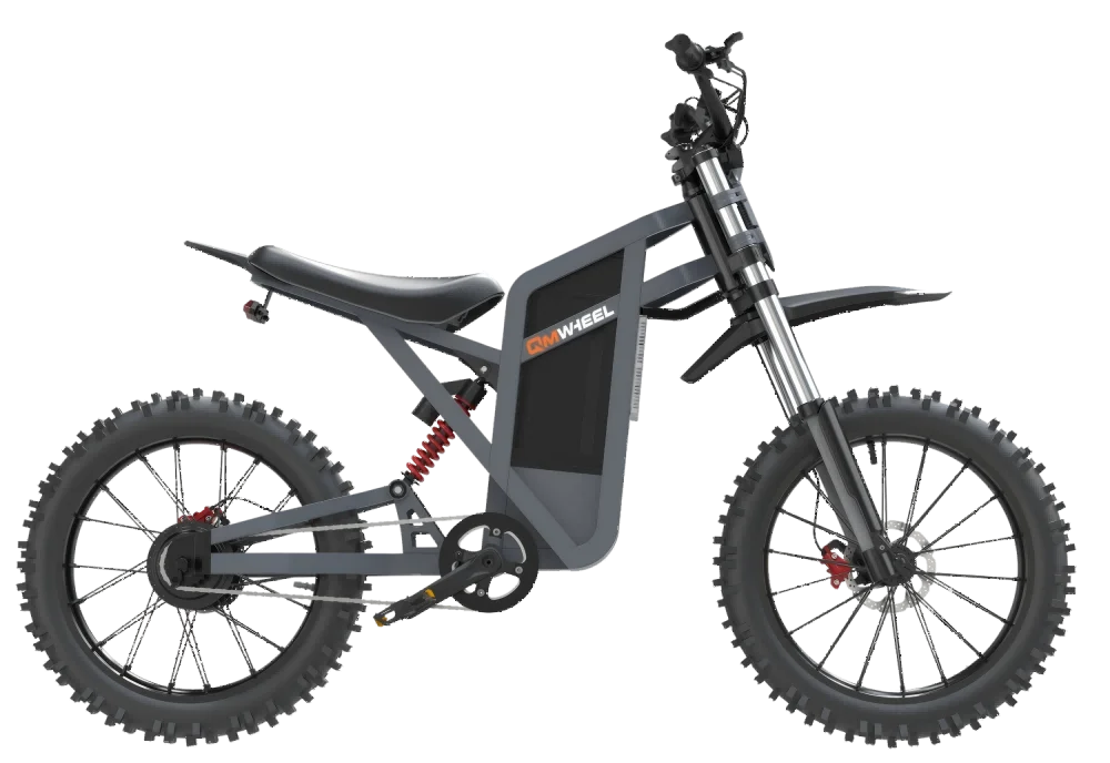 Electric Motorcycles