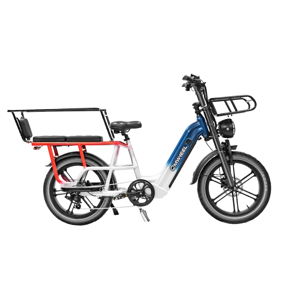Transport Electric Bicycles