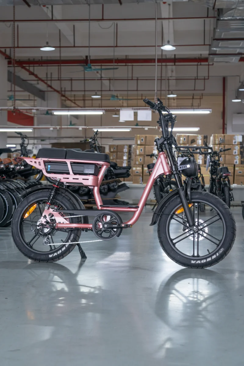 Why a Fat Tire Electric Bike for Women Handles Rough City Roads