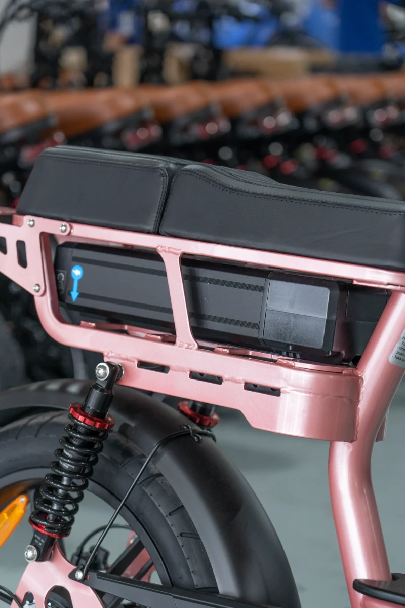 Fat Tire Electric Bike for Women Fat Tire Electric Bike for Women