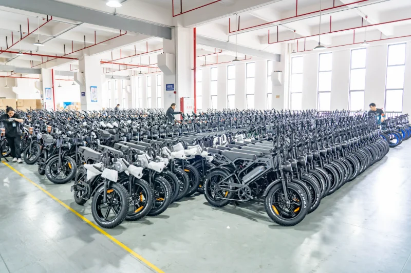 Custom Electric Bike Manufacturer Custom Electric Bike Manufacturer