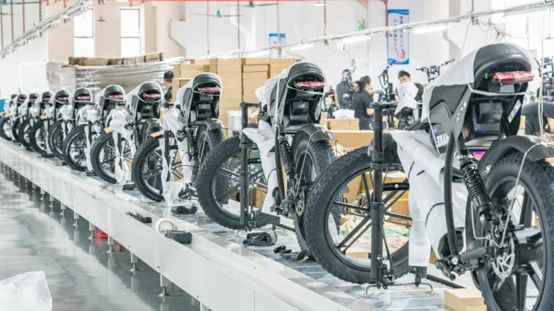 Custom Electric Bike Manufacturer Custom Electric Bike Manufacturer