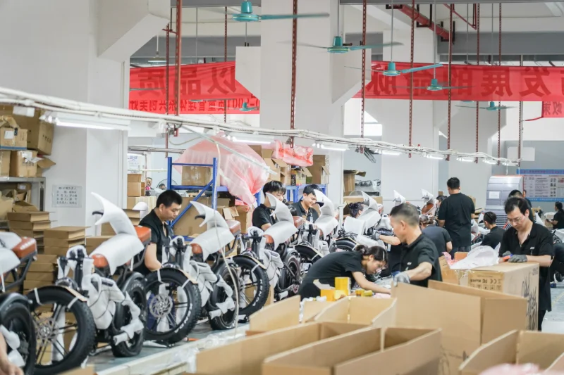 All Terrain Electric Bicycle OEM Solutions for Outdoor Travel