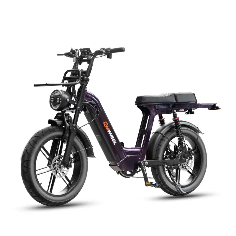 City Commuter Ebike with Long Range Battery City Commuter Ebike with Long Range Battery
