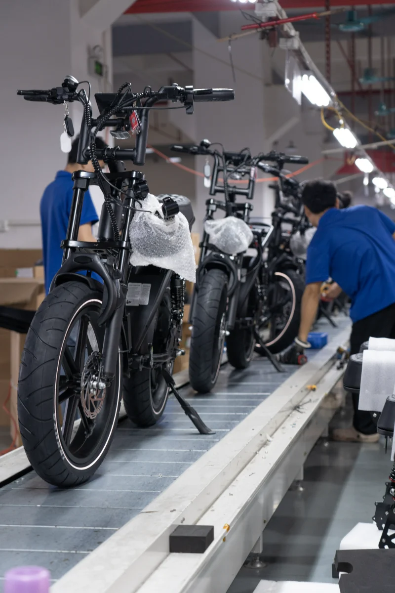 Off Road Fat Tire Bike OEM Design for Different Market Demands