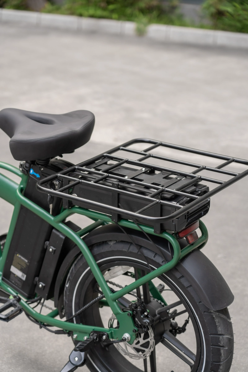 Urban Electric Bicycle Urban Electric Bicycle