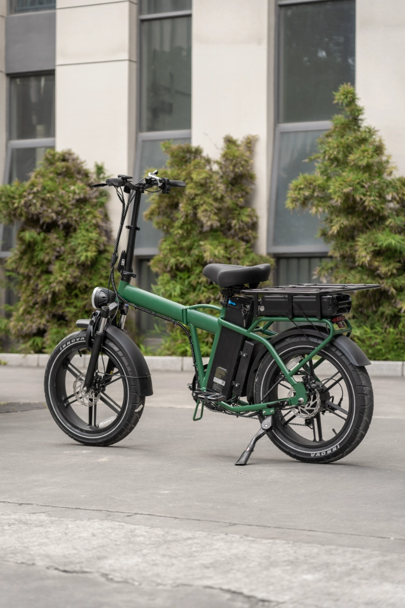 Urban Electric Bicycle Urban Electric Bicycle