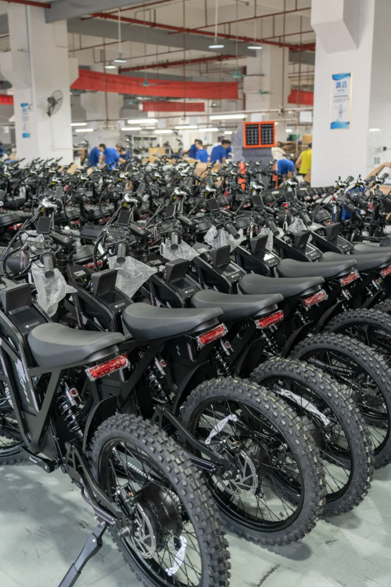 Dual Battery Fat Tire Electric Bike for Gravel Roads and Outdoor Adventures