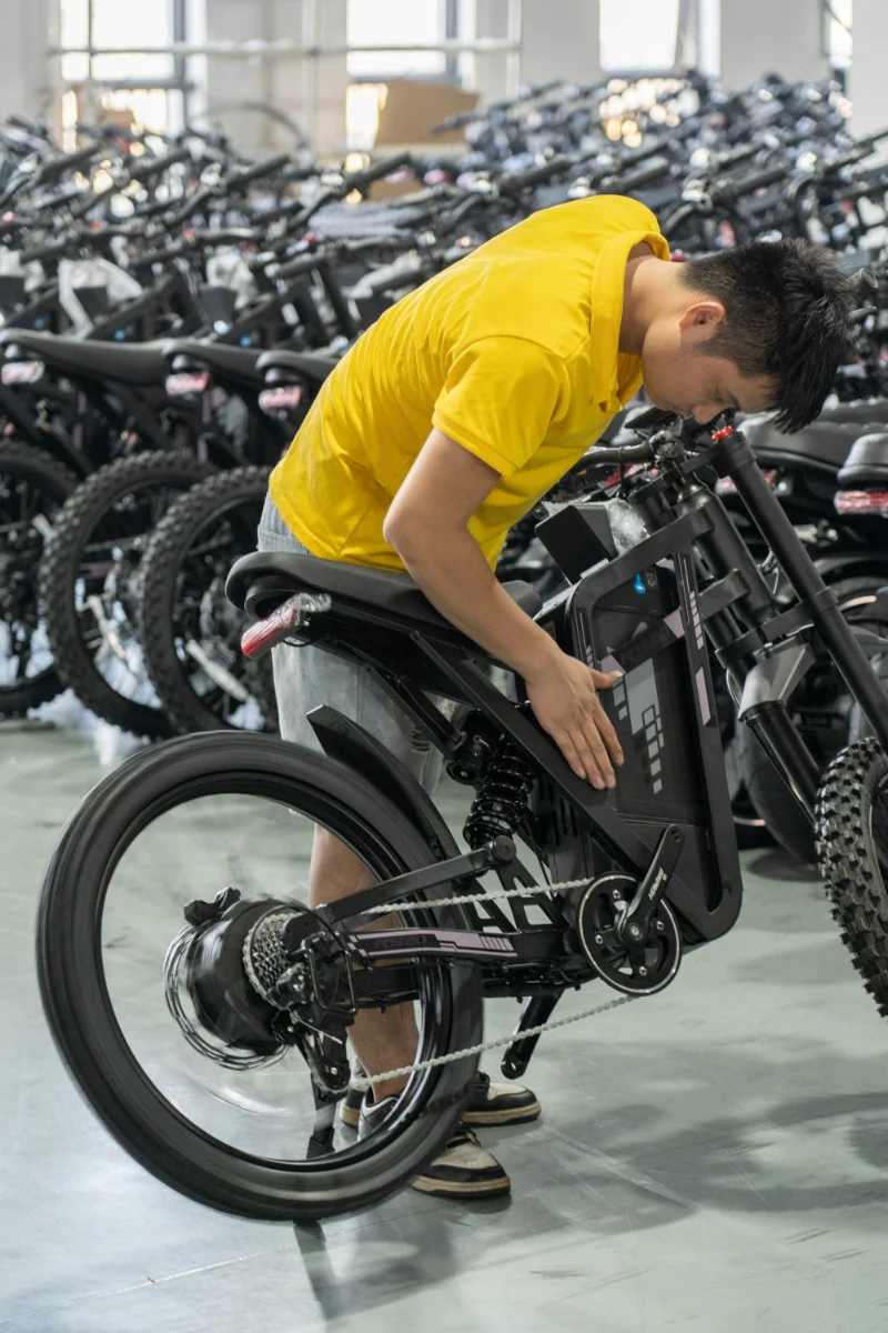 Dual Battery Fat Tire Electric Bike Dual Battery Fat Tire Electric Bike