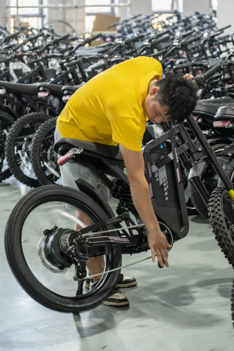 Dual Battery Fat Tire Electric Bike Dual Battery Fat Tire Electric Bike