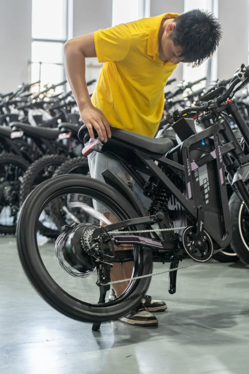 Dual Battery Fat Tire Electric Bike Dual Battery Fat Tire Electric Bike