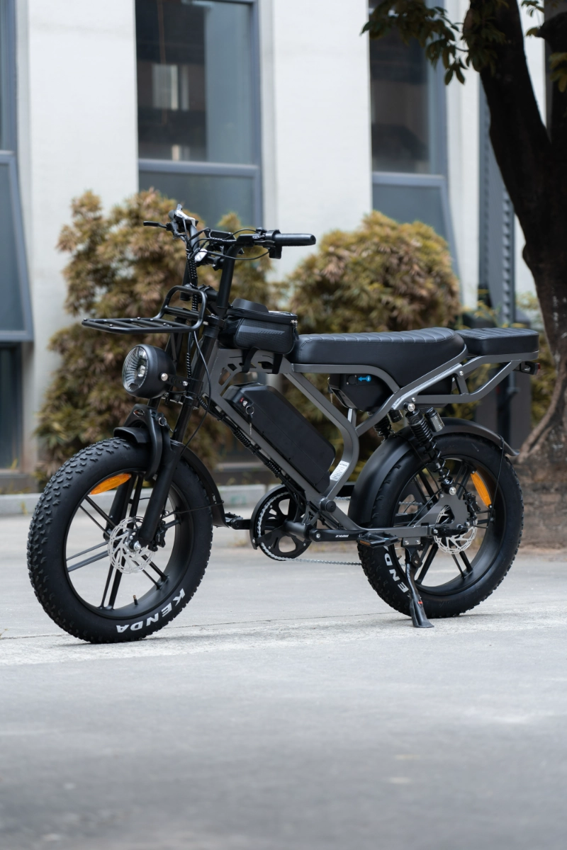How OEM Custom Fat Tire Electric Bikes Help Brands Reach Niche Markets