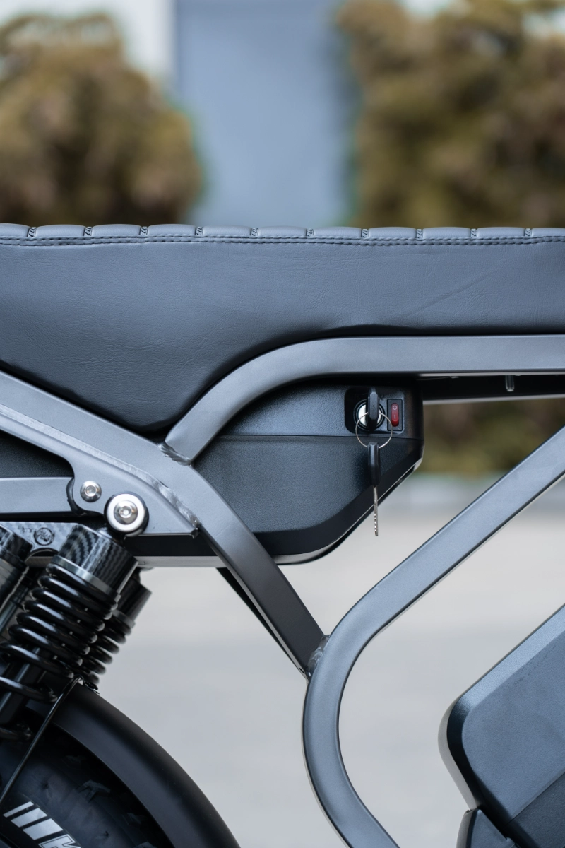 Fat Tire Electric Bicycles Fat Tire Electric Bicycles